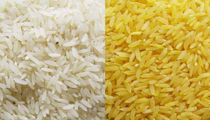 برنج طلایی