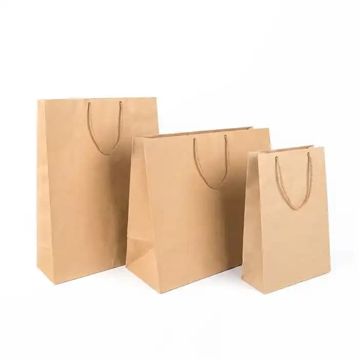 ساک دستی کاغذی