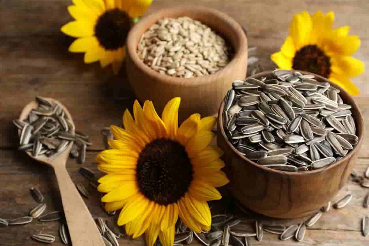 ایده بسته بندی تخمه آفتاب گردان