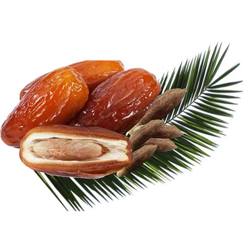 انواع خرما(1)