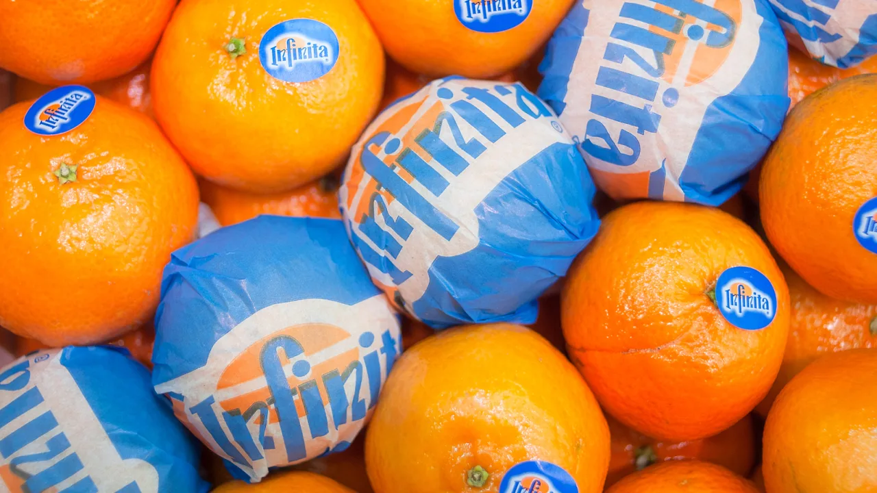 بسته بندی صادراتی میوه