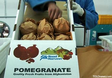 بسته بندی صادراتی