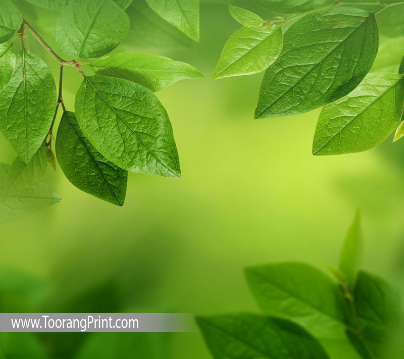 تاثیر رنگ تاثیر رنگ