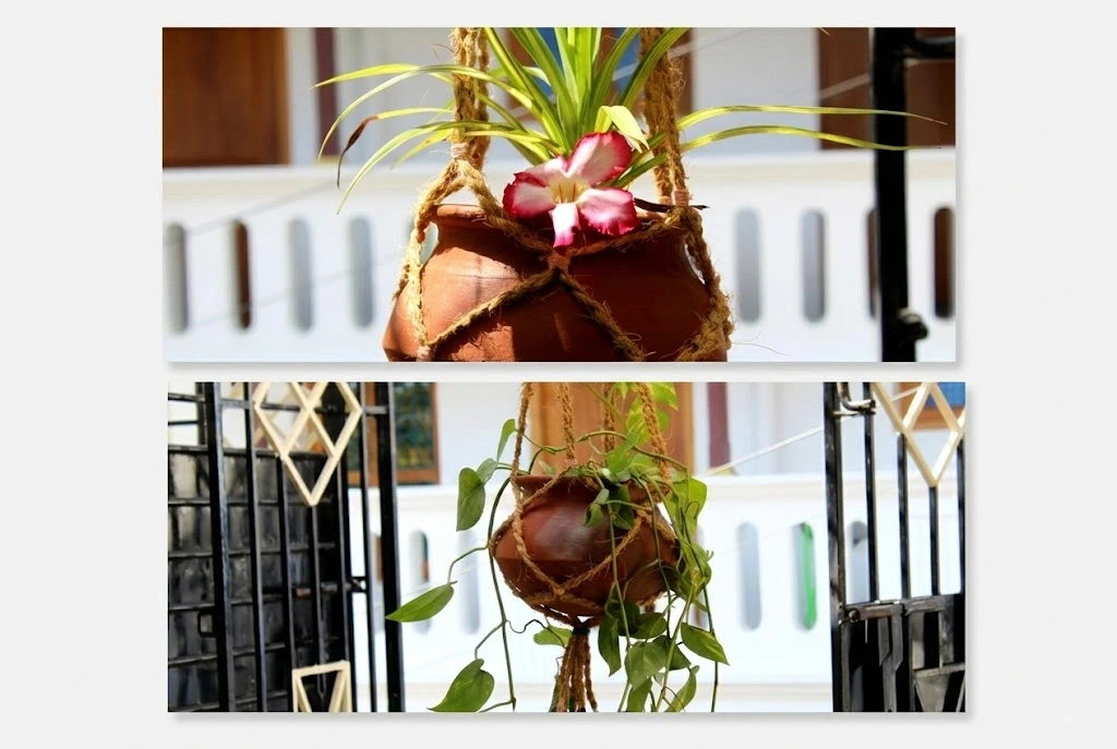 قرار دادن گیاه