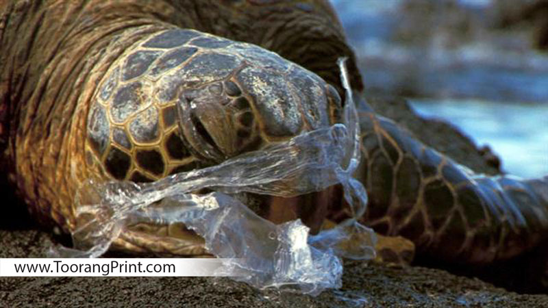 پلاستیک پلاستیک