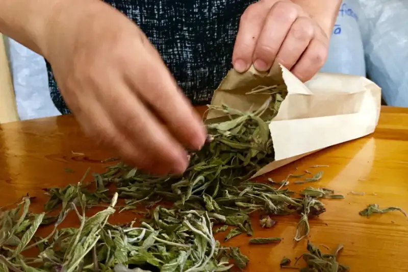 بسته بندی گیاهان دارویی