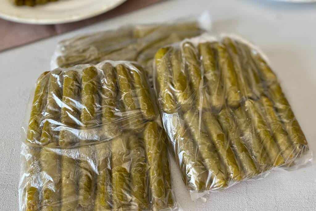 آموزش روش نگهداری برگ مو در سلفون