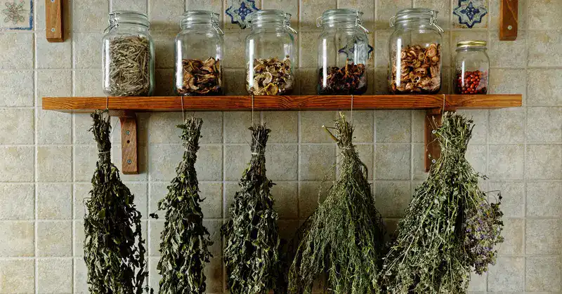 بسته بندی سبزی خشک